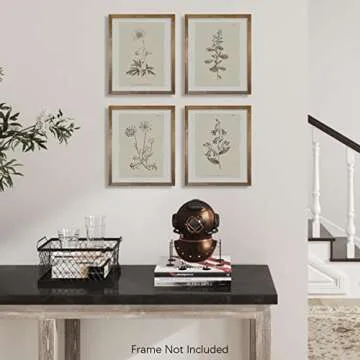 Vintage Botanical Plant Wall Art Prints - Neutral Boho Minimalist Flower Floral Posters Picture for Bathroom, Kitchen, Home Office - Beige French Counry Farmhouse Room Decor - Aesthetic Study Sketch