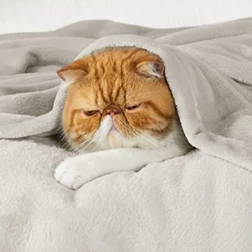 Bedsure King Size Fleece Blanket - Plush & Cozy Comfort