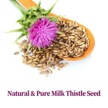 FullChea Milk Thistle Tea Bags - Natural Health Benefits in Every Cup