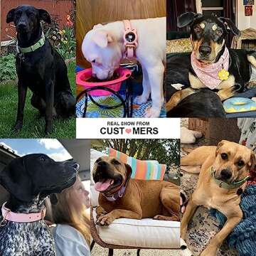 WHIPPY Leather Dog Collar for Small Medium Large Dog Adjustable Soft Breathable Leather Padded Puppy Collar with Alloy Buckle Heavy Duty Waterproof Classic Dog Pet Collar,Pink,S