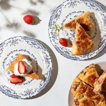 HomeElves Elegant Dinner Plates Set with Blue Rose Design