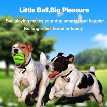 Idepet Dog Toy Ball, Nontoxic Bite Resistant Toy Ball for Pet Dogs Puppy Cat, Dog Pet Food Treat Feeder Chew Tooth Cleaning Ball Exercise Game IQ Training Ball(Green)