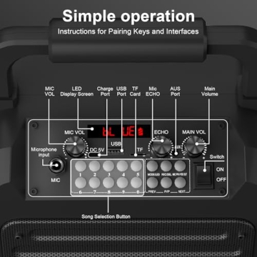 Netlea Karaoke Machine with Wireless Mic & Multi-Function