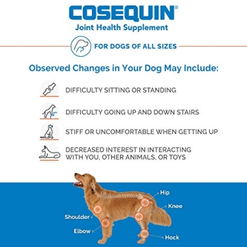 Cosequin Joint Health Supplement for Dogs, 60 Chewable Tablets