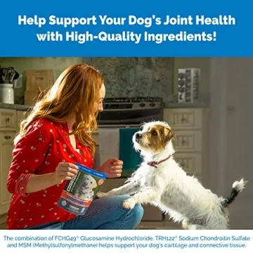 Cosequin Joint Health Supplement for Dogs, 60 Chewable Tablets