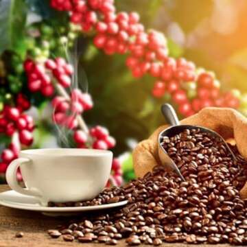 ROYAL KONA COFFEE - Medium Roast Ground Coffee, Toasted Coconut Flavor, 8 Ounce