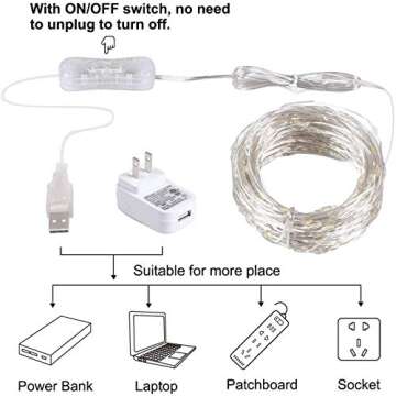 USB Fairy String Lights with Switch and Power Adapter, 66 Feet 200 Led Firefly Lights for Bedroom Wall Ceiling Christmas Tree Wreath Craft Wedding Party Decoration, Warm White