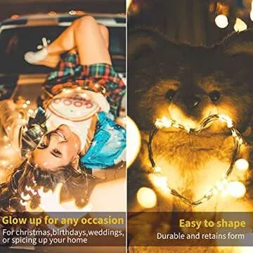 USB Fairy String Lights with Switch and Power Adapter, 66 Feet 200 Led Firefly Lights for Bedroom Wall Ceiling Christmas Tree Wreath Craft Wedding Party Decoration, Warm White