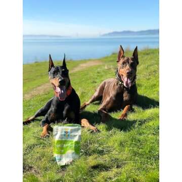 Apple Cinnamon Freeze Dried Dog Treats - Grain Free