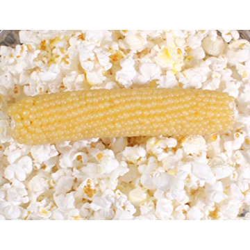 Amish Country Popcorn on the Cob, Non-GMO and Gluten Free