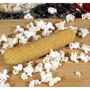 Amish Country Popcorn on the Cob, Non-GMO and Gluten Free