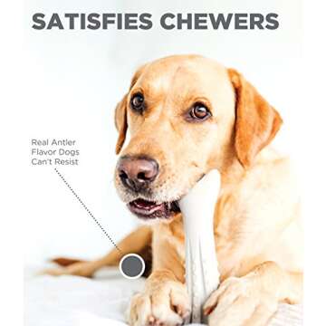 Petstages Deerhorn Antler Alternative Dog Chew Toy, Medium