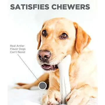 Petstages Deerhorn Antler Alternative Dog Chew Toy, Medium