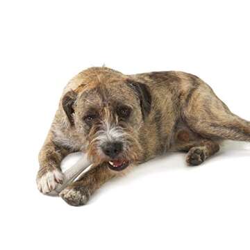 Petstages Deerhorn Antler Alternative Dog Chew Toy, Medium