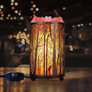 Himalayan Pink Salt Lamp, Natural Salt Rock Lamp with Retro Forest Basket and Dimmer Switch, Romantic Night Light Plug in, Decor Desk Lamp
