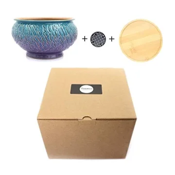 Unique Handmade Ceramic Succulent Pot with Drainage Tray