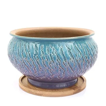 Unique Handmade Ceramic Succulent Pot with Drainage Tray