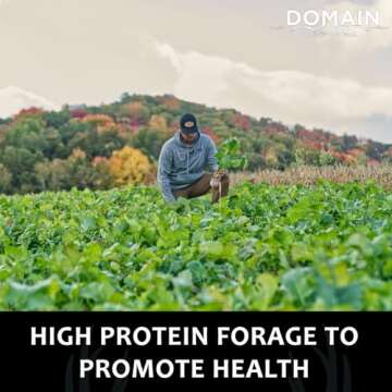 Domain Outdoor Sugar Momma Food Plot Seed for Deer, 1/2 Acre, Turnip, Rape, Kale, Clovers, Chicory, ...