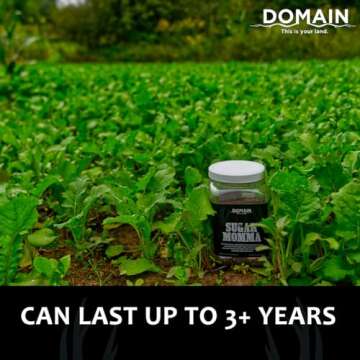 Domain Sugar Momma Food Plot Seed for Deer Attraction