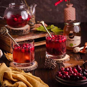 Premium Everyday Drinking Glasses Set of 8 for Every Occasion