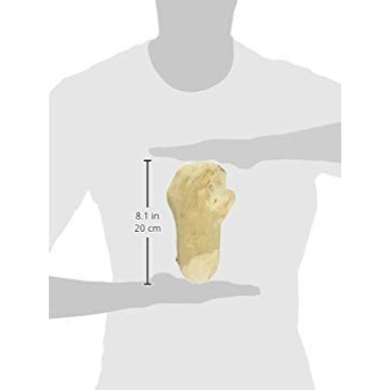 Durable Gorilla Chew Toy for Super Chewers - 2 Pack