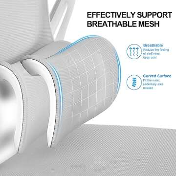 Misolant Drafting Chair with Lumbar Support & Adjustable Height