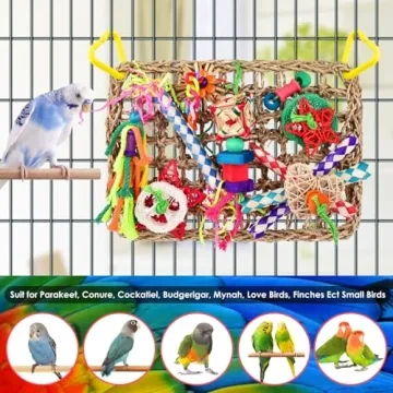 KATUMO Bird Toys Foraging Fun for Small Birds