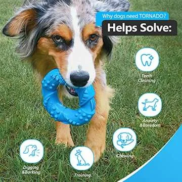 EASTBLUE Dog Chew Toys for Aggressive Chewers: Ultra-Tough Natural Rubber Puppy Chew Toy Nearly Indestructible Dog Toys for Large and Medium Breed