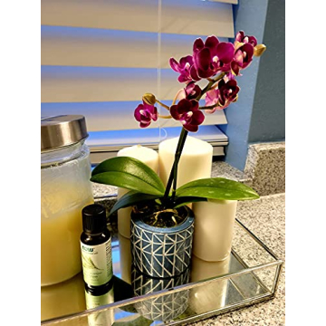 Elegant Silver Mirror Jewelry Tray for Modern Organizing