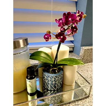 Elegant Silver Mirror Jewelry Tray for Modern Organizing