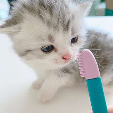 Cat Grooming Brush for Tear Stains and Ear Cleaning