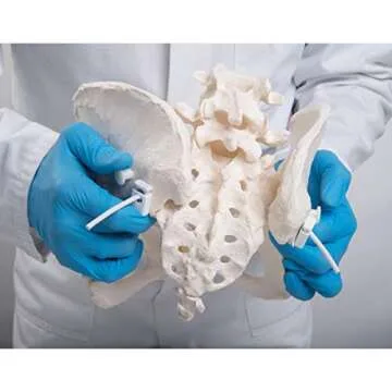 Flexible Female Pelvis Model for Childbirth Education