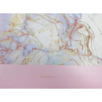 CharaVector Hanging File Folders - Durable & Stylish Organization