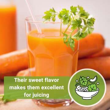 Sow Right Seeds - Kuroda Carrot Carrot Seed for Planting - Non-GMO Heirloom Packet with Instructions to Plant a Home Vegetable Garden - Great for Outdoor Fall Planting - Great Gardening Gift (1)