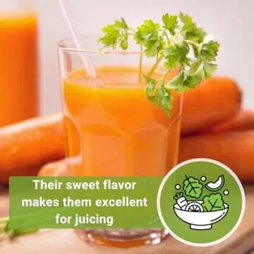 Sow Right Seeds - Kuroda Carrot Carrot Seed for Planting - Non-GMO Heirloom Packet with Instructions to Plant a Home Vegetable Garden - Great for Outdoor Fall Planting - Great Gardening Gift (1)