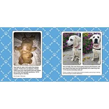 We Rate Dogs Book: Hilarious Pups for Dog Lovers