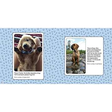 We Rate Dogs Book: Hilarious Pups for Dog Lovers