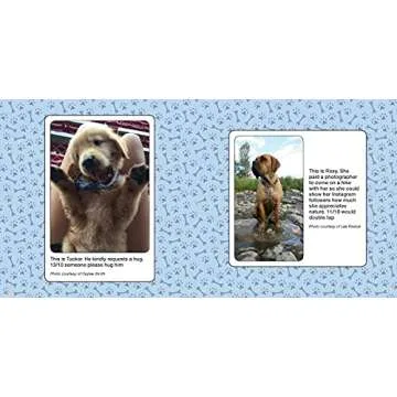 We Rate Dogs Book: Hilarious Pups for Dog Lovers