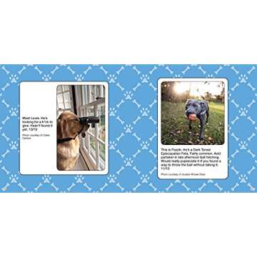 We Rate Dogs Book: Hilarious Pups for Dog Lovers