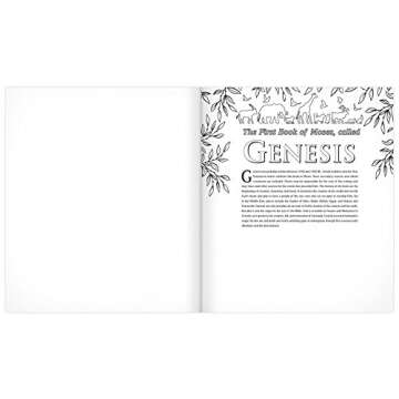 The MEV Promises of God Bible for Creative Journaling: Modern English Version