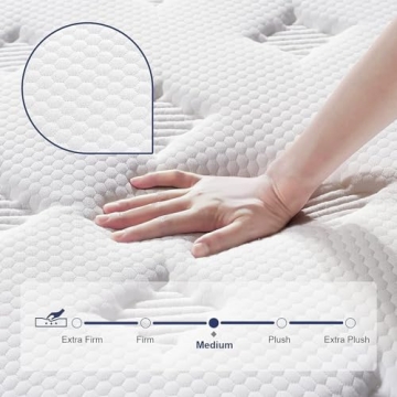EEN EEN SLEEP 12 Inch Hybrid Queen Mattress Comfort