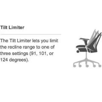 Herman Miller Sayl Chair, Black Rhythm