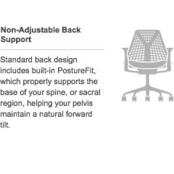 Herman Miller Sayl Chair, Black Rhythm