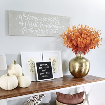 HUAESIN Artificial Eucalyptus Stems for Fall Decor