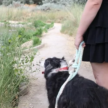 PUPPYSENTIALS Premium Dog Leash for Comfort & Style