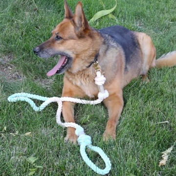 PUPPYSENTIALS Premium Dog Leash for Comfort & Style