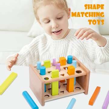 Montessori Shape Matching Toys Wooden Shape Sorting Toys for 1-3 Years Old Children Educational Toy ...