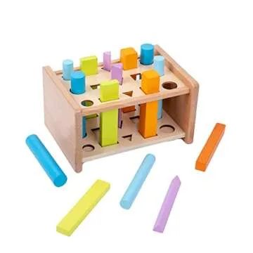 Montessori Shape Sorting Toys for Toddler Learning Fun