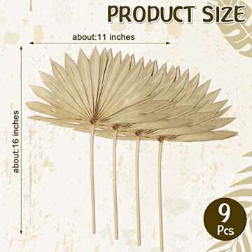 Natural Large Dried Palm Leaves Decor Dried Palm Fans Palm Boho Flowers Arrangements Dried Palm Fronds Dried Palm Spears Decorative Sun Palms for Wedding Home Bouquet Party Leaf Wall (9)