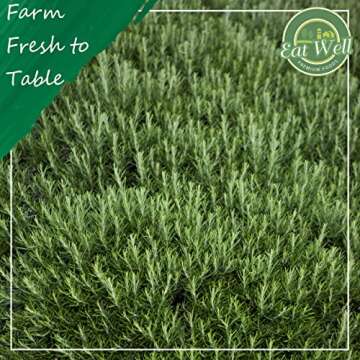 Eat Well Premium Foods Rosemary Leaves 16 oz, Premium Whole Dried Rosemary Leaves Bulk Pack, Dry Rosmarinus Officinalis 100% Natural Vegan Rosemary Seasoning Traditional Mediterranean Ingredients Dry Rosemary